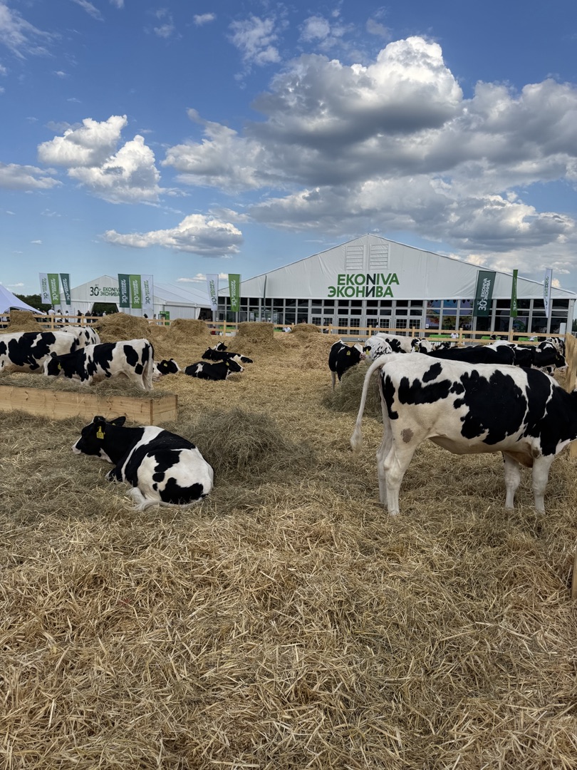 0382c22e-6d01-4ead-adb3-bd0b6234ef96